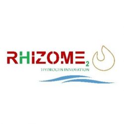 Rhizome - Copy